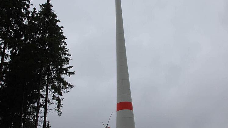 Foto: Friedwald Schedel