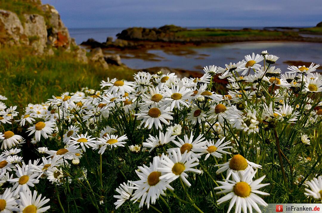 Bilder aus Island