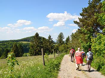Unbeschwert auf Wanderwegen die Rhön erkunden ist Erholung. Damit alles rund läuft, sorgen die Wegewarte für eine gute Ausschilderung und dafür dass keine Hindernisse den Spaß verderben.
