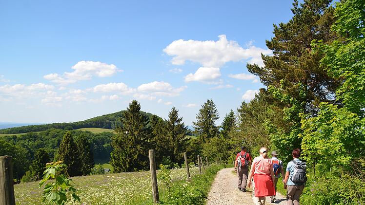 Unbeschwert auf Wanderwegen die Rhön erkunden ist Erholung. Damit alles rund läuft, sorgen die Wegewarte für eine gute Ausschilderung und dafür dass keine Hindernisse den Spaß verderben.