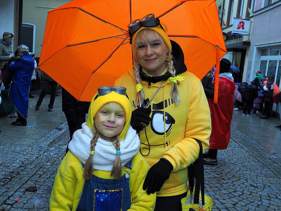 Bad Br&uuml;ckenau feiert Fasching!