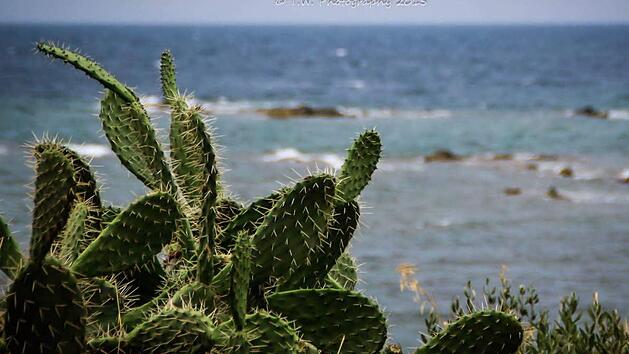 Die inFrankenPix-Nutzerin Tanja hat uns dieses Urlaubsfoto geschickt.