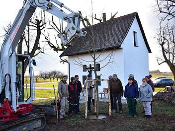Ein Lillinger stiftete eine fünf Meter große Linde, die am Montag versetzt wurde und nun das Wahrzeichen an der Kapelle wieder vervollständigt. Pfarrer Josef Pingold aus Neunkirchen (4. v. l.) ist gebürtiger Lillinger. Er weihte die Linde. Foto: Petra Malbrich