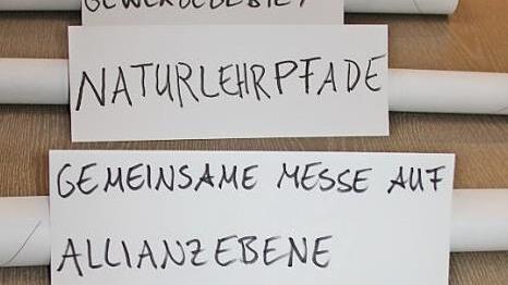 Einige der Themenfelder, die erst aufgerollt, dann bearbeitet wurden.