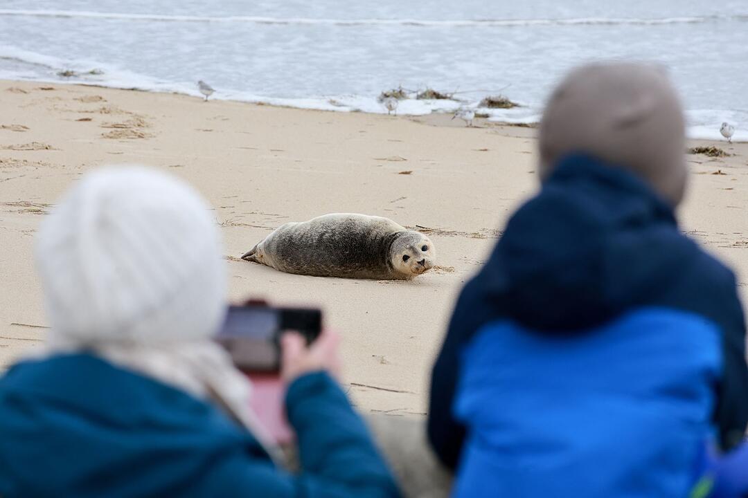 Sturmtief &laquo;Manja&raquo; - Cuxhaven