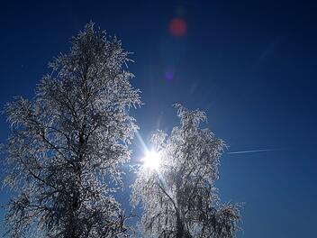Wetter in Franken: Woche startet mit Sonne - danach kann Schnee kommen Wetter in Franken: Woche startet mit Sonne - danach kann Schnee kommen