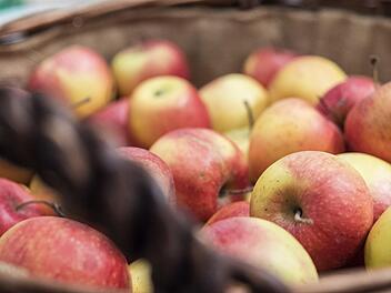 Die Apfelernte k&ouml;nnte 2019 sehr mager ausfallen. Symbolbild: Robert G&uuml;nther/dpa