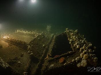 Von deutschem U-Boot versenkt: Forscher tauchen zu Wrack