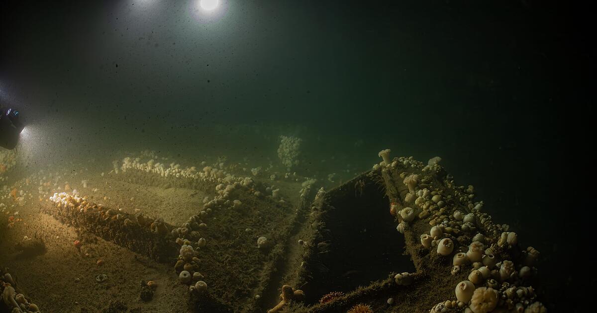 Von-deutschem-U-Boot-versenkt-Forscher-tauchen-zu-Wrack