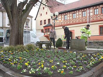 Die Beete rund um den Brunnen vor der Kaiserpfalz wurden rechtzeitig zum Frühling mit frischen Blumen bestückt.  Foto: Andreas Schmitt