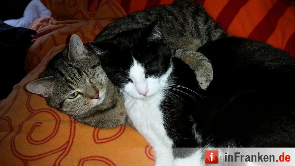 Foto: Simone Hofmann