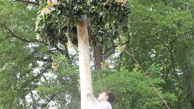 Altknecht Martin Klein war beim Erklimmen des Baums erstmals mit einem Seil gesichert. Foto: Manfred Welker