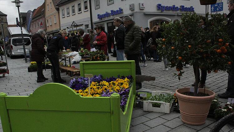 Blumen-Mahler ließ sich diesen Hingucker einfallen. Foto: Markus Häggberg