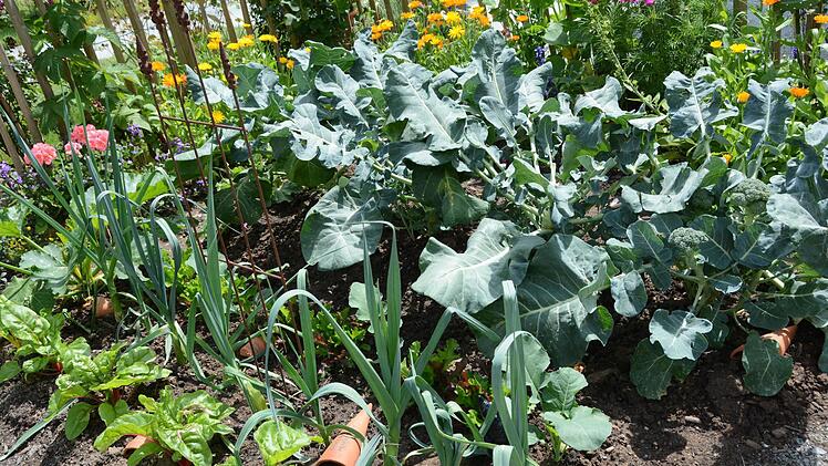 Impressionen von der Landesgartenschau in Bayreuth Foto: Dagmar Besand
