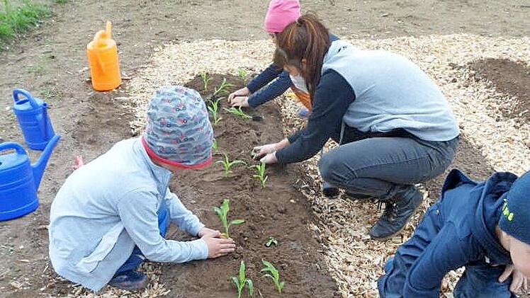 Mit Eifer pflanzen die Kinder ihren Acker an.