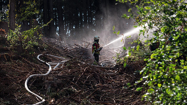 Waldbrand bei Buckenreuth