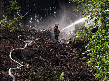 Waldbrand bei Buckenreuth