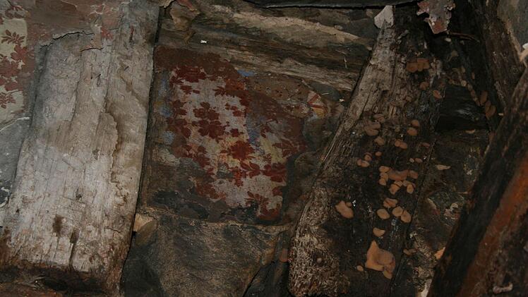 Foto: Veronika Schadeck