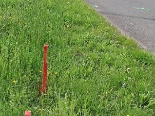 Vorboten des Baus einer Bahnschranke unweit der Kläranlage: Die Baufirma hat entlang der Ortsverbindungsstraße nahe der Kläranlage Pflöcke einschlagen und Punkte markiert. Foto: Ralf Kestel