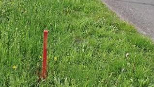 Vorboten des Baus einer Bahnschranke unweit der Kläranlage: Die Baufirma hat entlang der Ortsverbindungsstraße nahe der Kläranlage Pflöcke einschlagen und Punkte markiert. Foto: Ralf Kestel