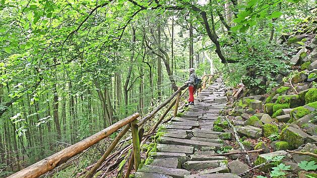 Am länderübergreifenden Kernzonentag bieten die Ranger der Bayerischen Verwaltungsstelle des Biosphärenreservats eine Führung durch die Kernzone Gangolfsberg an.