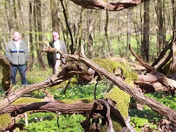 Unterwegs in der Kernzone "Reithmühle" in der Gemeinde Oberthulba Foto: Carmen Schmitt