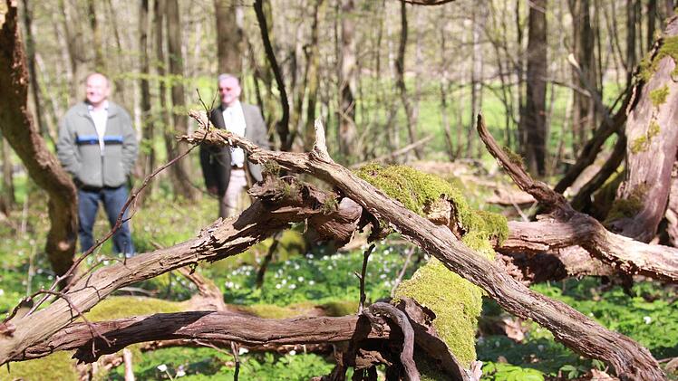 Unterwegs in der Kernzone "Reithmühle" in der Gemeinde Oberthulba Foto: Carmen Schmitt