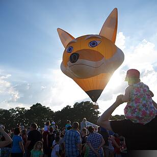 Jubiläumsausgabe: Zum 20. Mal hat die Raiffeisenbank Seebachgrund zu ihrem Ballonmeeting nach Hannberg eingeladen. Mehr als 2000 Menschen waren gekommen.