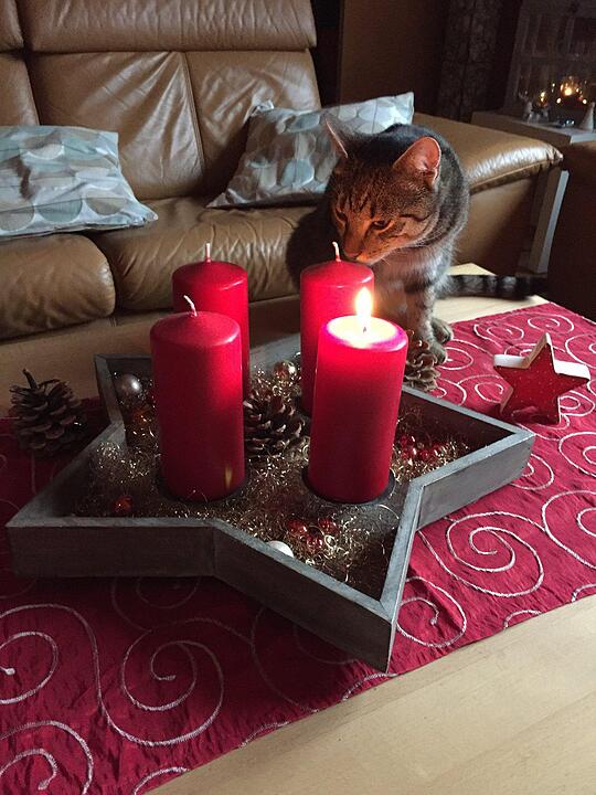 Lesergalerie: Adventskränze