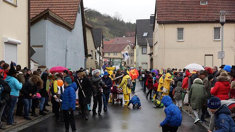 Faschingszug in SulzthalFoto: Arkadius Guzy