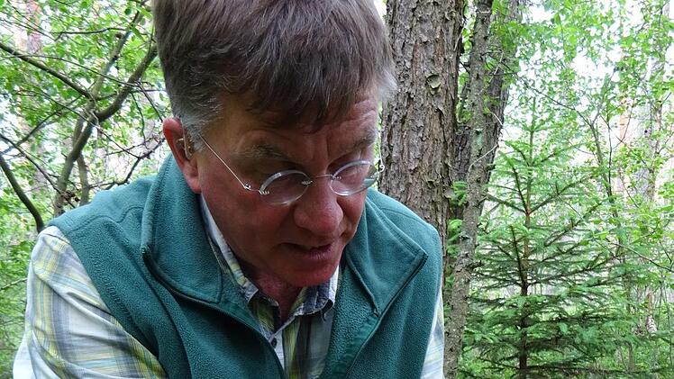 Den Goldröhrling erkennt man daran, dass sich die Schnittfläche blau färbt.Michaela Hofmannn