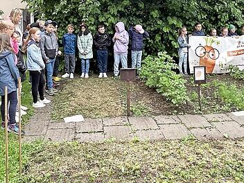 Die zweite Klasse des Schulhauses Seubelsdorf präsentiert ihren neu angelegten Schulgarten.