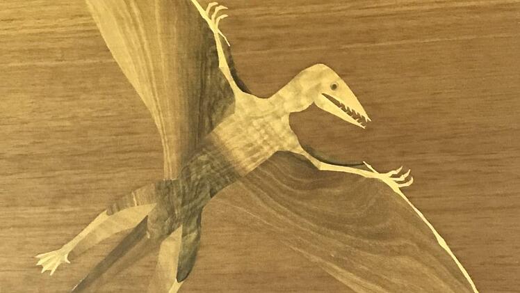 Flugsaurier über Mistelgau: Vor 140 Millionen Jahren ist der in das tropische Meer abgestürzt. Foto: Wolfgang Schoberth