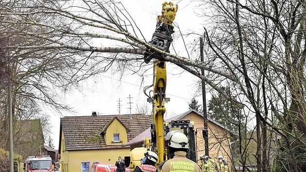 Eine wichtige Aufgabe bei diesem Feuerwehreinsatz bestand darin, die in Schr&auml;glage geratene Birke so zu beseitigen, dass sie keinen Schaden an der bestehenden Telefonleitung und Ortsbeleuchtung verursachen konnte.