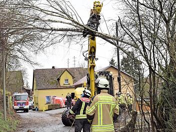 Eine wichtige Aufgabe bei diesem Feuerwehreinsatz bestand darin, die in Schräglage geratene Birke so zu beseitigen, dass sie keinen Schaden an der bestehenden Telefonleitung und Ortsbeleuchtung verursachen konnte.