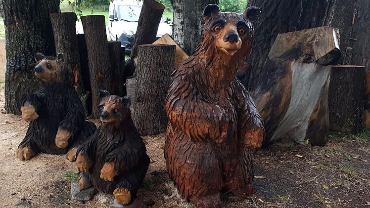 Coburg: Noch einmal an die Ostsee - ASB-Wünschewagen erfüllt schwer kranker Frau letzten Wunsch