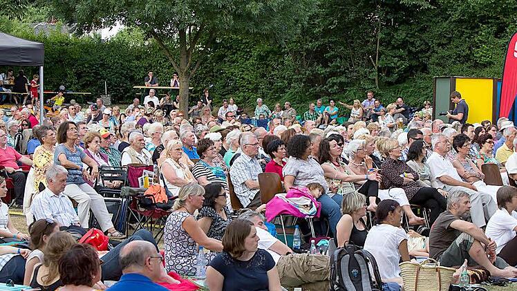 Viele Zuhörer lockte das "Classic Open Air" mit dem Orchester der "Gesellschaft der Musikfreunde" und dem Chor "Unerhört" an. Solist am Fagott: Alireza Sheibani  Fotos: Albert Höchstädter