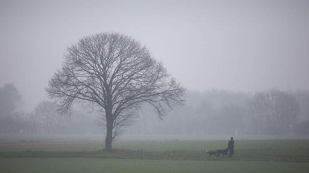 Nasskaltes Wetter. Foto: Frank Rumpenhorst/dpa