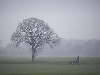 Nasskaltes Wetter. Foto: Frank Rumpenhorst/dpa