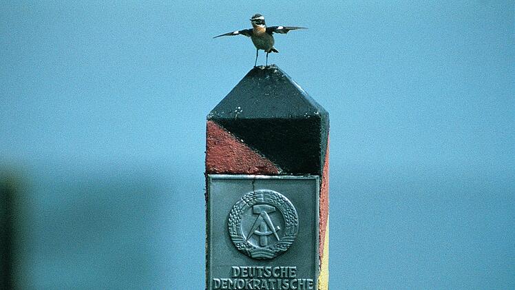 Ein Braunkehlchen hat sich auf dem Grenzpfahl zur ehemaligen DDR niedergelassen. Foto: Thomas Stephan
