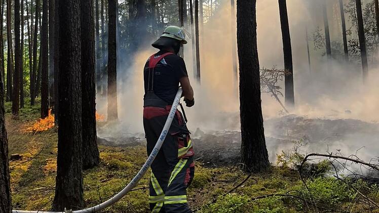 Waldbrand bei Baiersdorf: Feuerwehr mit Großaufgebot im Einsatz