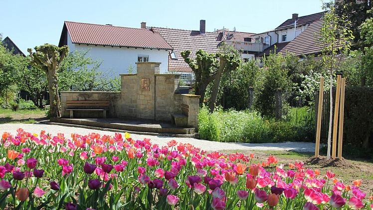In verschiedenen Farben blühen die Tulpen. Foto: Ralf Kestel