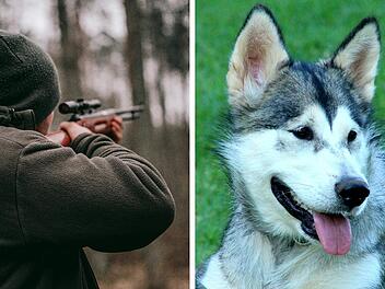 Hund grundlos erschossen - Urteil gegen J&auml;ger