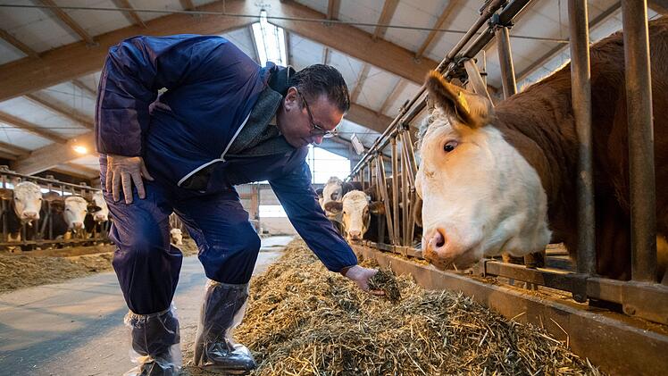 Davon betroffen sind vor allem Betriebe der Landwirtschaft mit Rindern, Ziegen und Schafen. Foto: Fabian Sommer/dpa