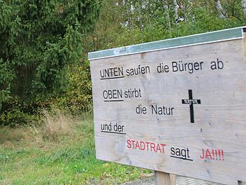 Das Bauprojekt in der Hannes-Strehly-Straße ist umstritten. Auf dem bewachsenen Gelände im Hintergrund sollen Mehrfamilienhäuser entstehen. Foto: Jürgen Gärtner