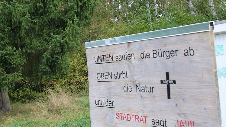 Das Bauprojekt in der Hannes-Strehly-Straße ist umstritten. Auf dem bewachsenen Gelände im Hintergrund sollen Mehrfamilienhäuser entstehen. Foto: Jürgen Gärtner
