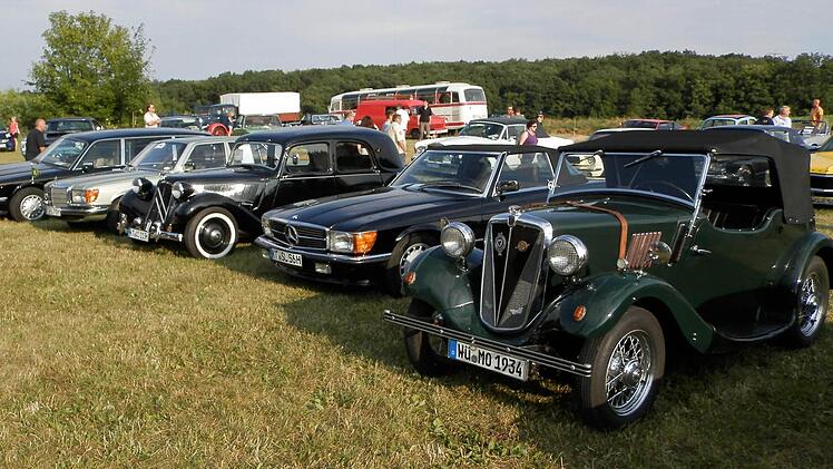 Die Fahrzeuge kamen aus der ganzen Region. Foto: Fritsch