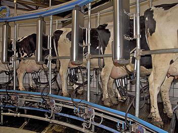 Optimistisch schaut der stellvertretende Präsident des Bayerischen Bauernverbandes, Günther Felßner, bei einem Vortrag in Obererthal in die Zukunft. Seiner Meinung nach haben auch kleinere Milchbauern nach dem Wegfall der Milchquote eine Chance. Fotos: Gerd Schaar