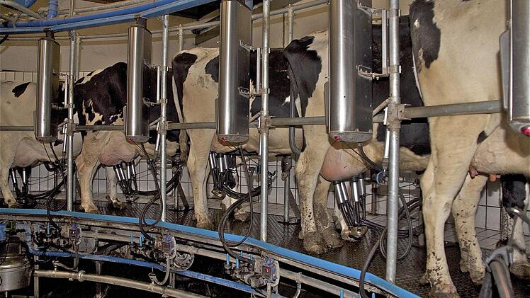 Optimistisch schaut der stellvertretende Präsident des Bayerischen Bauernverbandes, Günther Felßner, bei einem Vortrag in Obererthal in die Zukunft. Seiner Meinung nach haben auch kleinere Milchbauern nach dem Wegfall der Milchquote eine Chance. Fotos: Gerd Schaar