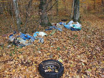 Autoreifen und Hausmüll lagern im Wald nahe der Pyramide. Foto: H. Beudert